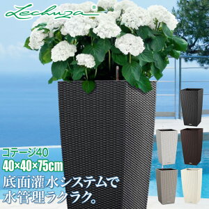 `[U v^[ LECHUZA Re[W40 COTTEGE40 LE-6040 ʋ ʟ  