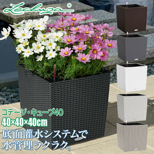 `[U v^[ LECHUZA Re[WEL[u COTTEGE CUBE LE-6440 ʋ ʟ  