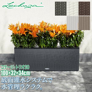 `[U v^[ Re[WEgI30 LE-6630 ʋ ʟ  