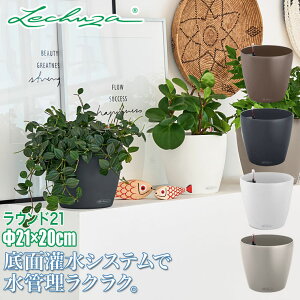 v^[ `[U LECHUZA Eh21 LE-7021 ʋ ʟ 