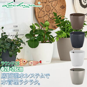 v^[ `[U LECHUZA Eh28 LE-7028 ʋ ʟ 