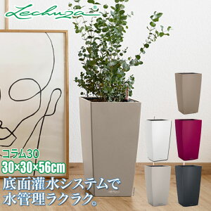 �y5/29����l��z �y�G���g���[�ōő�100%�o�b�N�z �v�����^�[ ���`���[�U LECHUZA TREND �g�����h �R����30 LE-8030 ��ʋ��� ��ʟ� �� ��������