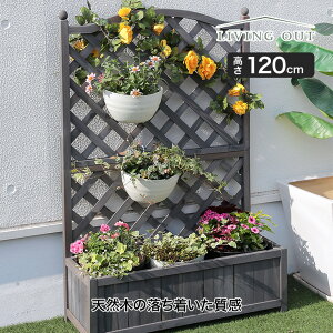 J Living Out (rOAEg) [sAv^[tFX 120 LO-010-812 eBX tFX gX  K[fjO Ԓd CYhxbh K[f{bNX v^[ttF