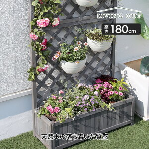J Living Out (rOAEg) [sAv^[tFX 180 LO-010-818 eBX tFX gX  K[fjO Ԓd CYhxbh K[f{bNX v^[ttF