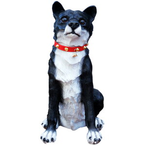 Ԍ ZT[hbO 񃊃L {bg u IuWF   |[` x_ h J SH2980S