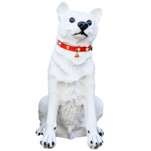 Ԍ ZT[hbO 񃊃L {bg u IuWF   |[` x_ h J SH2980S