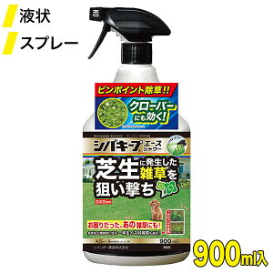 Ő  VoL[vG[XV[ 900ml 4903471101794 C{[i st^