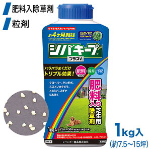 Ő  VoL[vvXV 1kg 4903471101879 C{[i y돈^