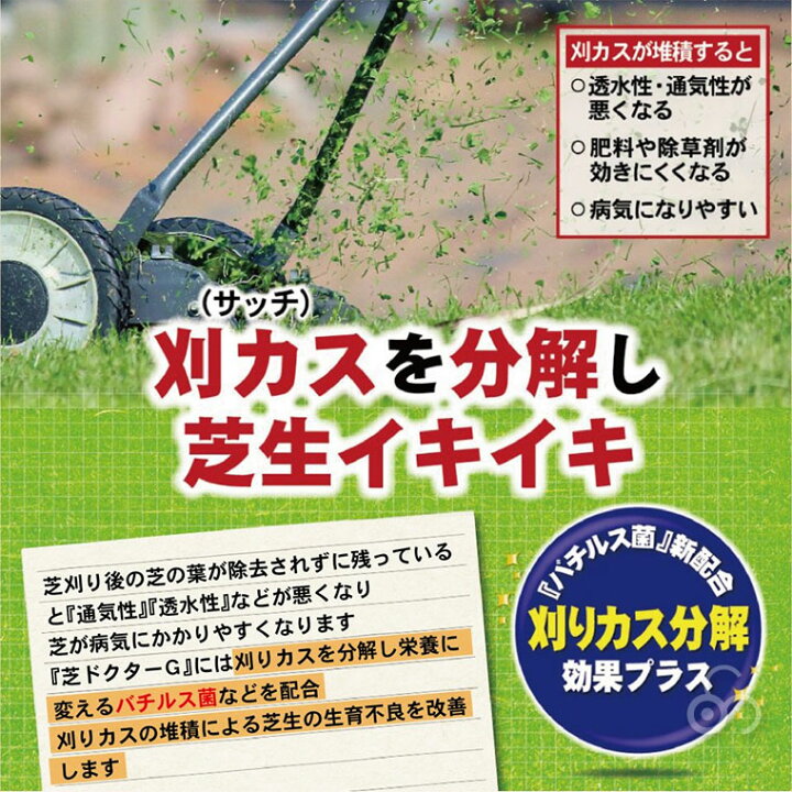 楽天市場 芝生 肥料 活力剤 芝ドクターg 4kg あす楽対応 サンワショッピング