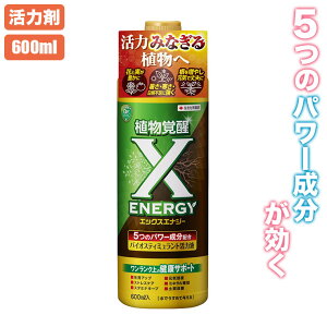 X-ENERGY GbNXGiW[ 600ml 4975292604778 ͉t
