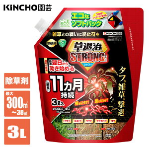 ������ KINCHO���| ���ގ��X�g�����O�V�����[ �\�t�g�p�b�N 3L 4975292605096 �G���΍� �G�� ����