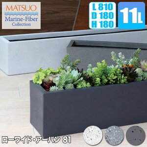 v^[ ^ MMFC [ChEA[o 81 MF-6230-081U 4×6 81cm  O 