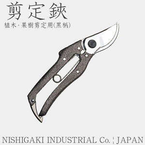 y{/n|z NISHIGAKIijVKLj  A؁Eʎp() ͂ nT~ N-202