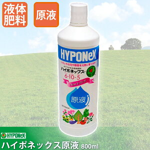 Ő 엿 nC|lbNXt 800ml 4977517180036