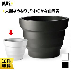 Plust Collection Leberot vXgERNV v^[ x65 EP-6233