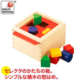 積み木 学習トイ ブロック はめこみ 形合わせ セレクタ SELECTA SEかたちの箱 SE62005 知育玩具 赤ちゃん ベビー 出産祝い 木製 知育 おもちゃ 0歳 1歳 1歳半 2歳 女の子 男の子 クリスマスプレゼント
