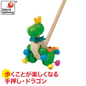 SELECTA ZN^ 艟EhS SE62027 V 0 6 12 ςݖ z