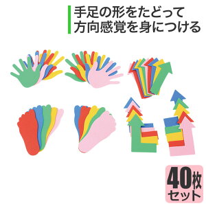 トレーニングプレート・フルセット HM64 知育玩具 知育 おもちゃ モンテッソーリ セラピー教具 0歳 一歳 1歳 2歳 3歳 4歳 5歳 男の子 女の子