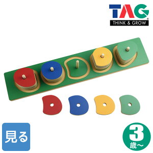 TAG Ɍ`قȂJ[upY TGES14  ۈ ۈ牀 ct ؐ ؂̂  1 2 3 4 5 6 j̎q ̎q a v[g ۈ狳 Bx m狳 wm 