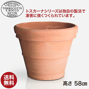 �y�\�񒍕� 2026�N2�����{�����\��z �e���R�b�^ �� S.Rocco Tuscany Liscio �g�X�J�[�i �v�����^�[ ���X�`�I �O��70cm SR-717070