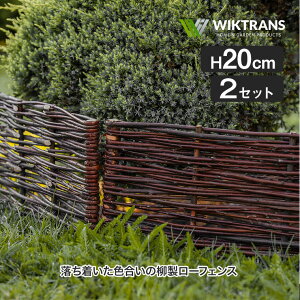 (2Zbg) WIKTRANS (EBLgX) ̃[tFX H20cm  tFX d؂ ؍ nVo~ Y   ؉ K[fjO WT91704-2p