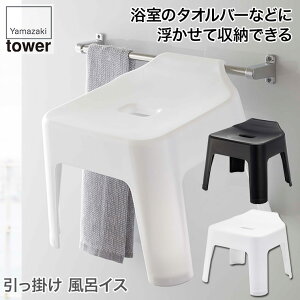 R |CCX ^[ zCg ubN 5383 5384 tower [  X ȃXy[X