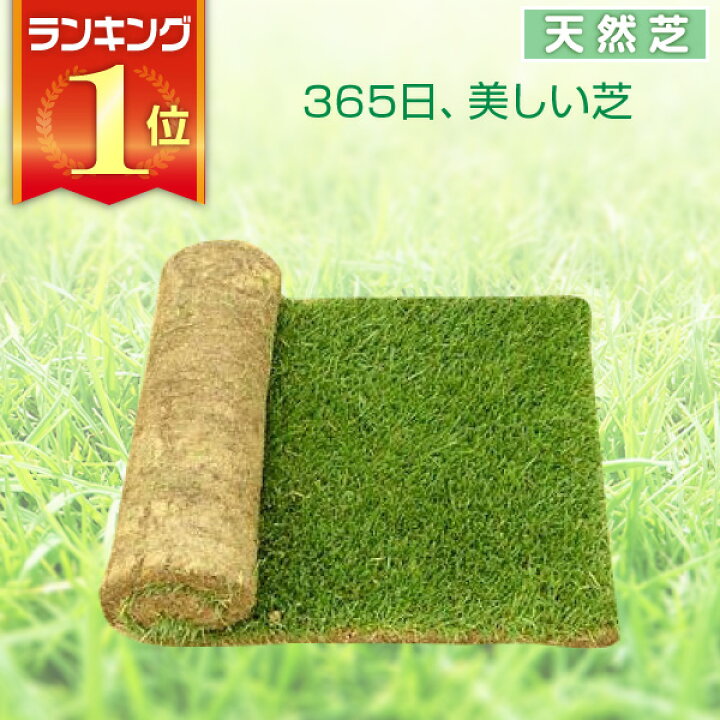 楽天市場 芝生 天然芝 三種混合ロール巻芝 送料無料 芝生 通販 サンワショッピング 楽天市場 芝生 天然芝 三種混合ロール巻芝 送料無料 芝生 通販 サンワショッピング