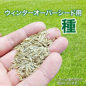 楽天市場 高麗芝 販売 時期の通販