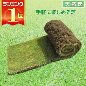 楽天市場 高麗 芝の通販