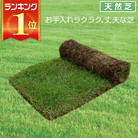 楽天市場 野芝の通販