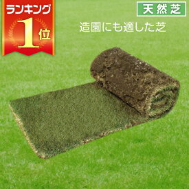 楽天市場 天然芝の通販