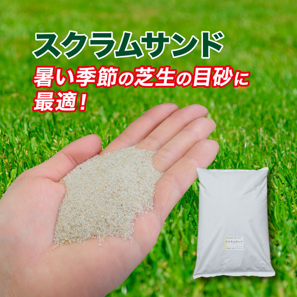 暑い季節の目砂にはコレ いつでも送料無料 NEW 芝生用床砂 目砂として スクラムサンド 土壌改良材 白 土壌改良剤 102000