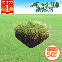 天然芝 バラ売り可能 約58平米分