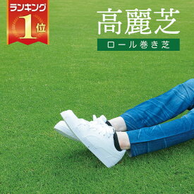 芝生　天然芝 高麗芝（コウライ芝） ロール巻芝 送料無料 （芝生 通販）