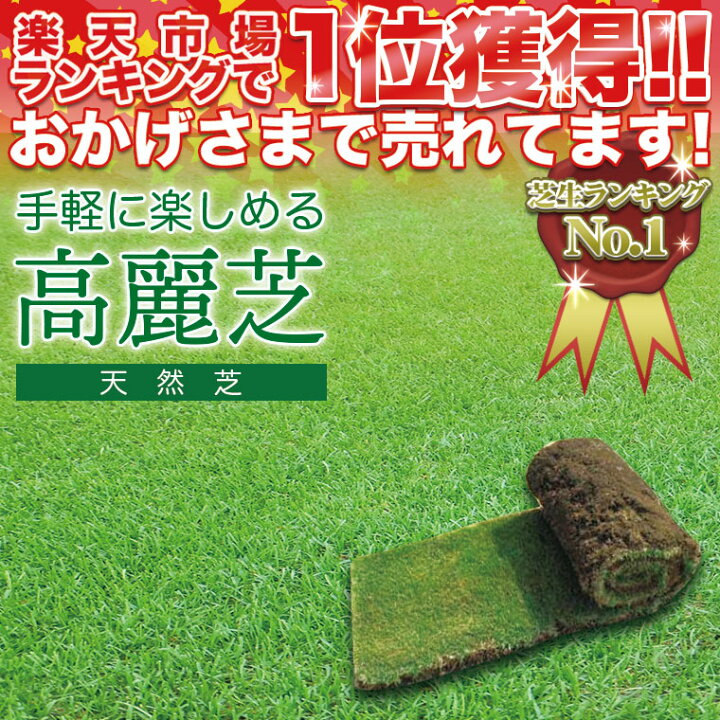 楽天市場】芝生 天然芝 高麗芝（コウライ芝） ロール巻芝 送料無料 