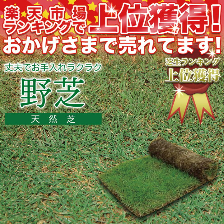 楽天市場 芝生 天然芝 野芝 ノシバ ロール巻 送料無料 芝生 通販 サンワショッピング 楽天市場 芝生 天然芝 野芝 ノシバ ロール巻 送料無料 芝生 通販 サンワショッピング