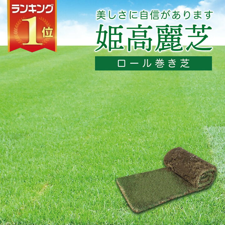 楽天市場】芝生 天然芝 姫高麗芝（ヒメコウライ芝） ロール巻芝 送料 