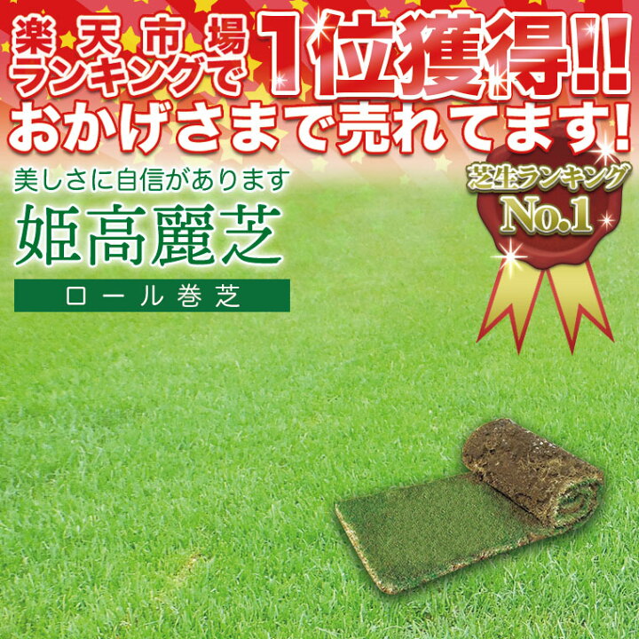 楽天市場】【エントリーで最大100%バック】 芝生 天然芝 姫高麗芝 