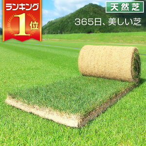 苗 芝生の人気商品 通販 価格比較 価格 Com