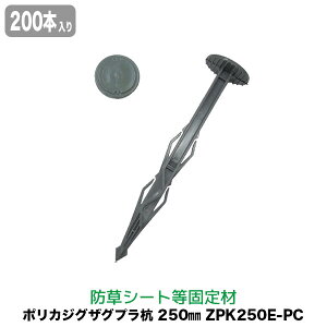 �h���V�[�g �s�� �|���J�W�O�U�O�v���Y 250mm 200�{���� ZPK250E-PC ��������