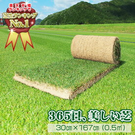 芝生　天然芝 三種混合ロール巻芝 送料無料 （芝生 通販）