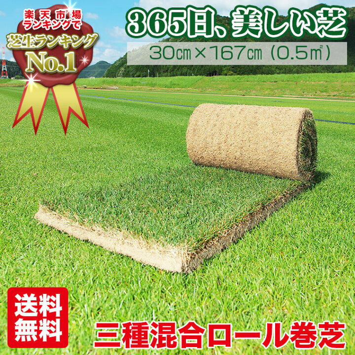 楽天市場】【エントリーで最大100%バック】 芝生 天然芝 三種混合 