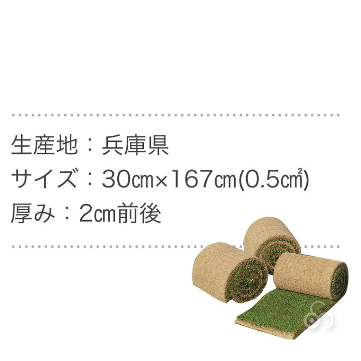 楽天市場】【エントリーで最大100%バック】 芝生 天然芝 三種混合 