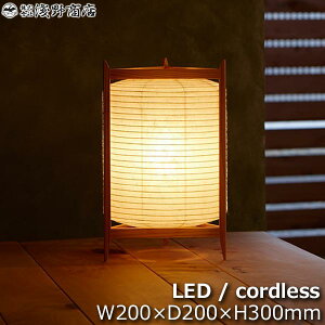 쏤X Ah gCAO LED R[hX^Cv  s Ɩ v _  andontriangle-LED 