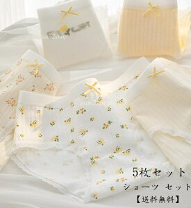 yz5Zbg fB[X   V[c Zbg ԕ q  ʋC  V[ĉ t@bV pc Op Z Ci[ w peBl 