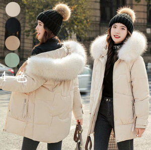 ȃWPbg tFCNt@[ _EWPbg t[ht R[g ؍ _ER[g fB[X ꂢ ~ u] ȃR[g  AE^[ p  Vv O 