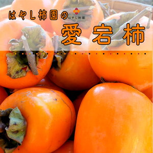  򕌌Y `p ` a`10kg  񂹃O  p ƒp