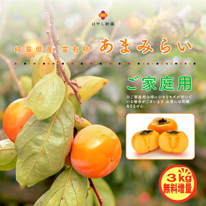 �y�N�����ӍՁz�ʏ퉿�i�̂܂�+3kg��������4��7kg 7kg��10kg �������� �򕌁E����s�Y �x�L�` ML�T�C�Y �ƒ�p �󂠂� ������ �t���[�c �Y�n����