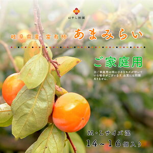  򕌌Y xL` ܂݂炢 ƒpMLTCY 14-16  񂹃O  p ƒp