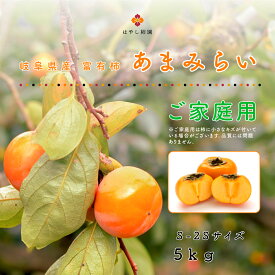 送料無料 岐阜県産 訳あり 富有柿 S-2Sサイズ 4.5～5キロ